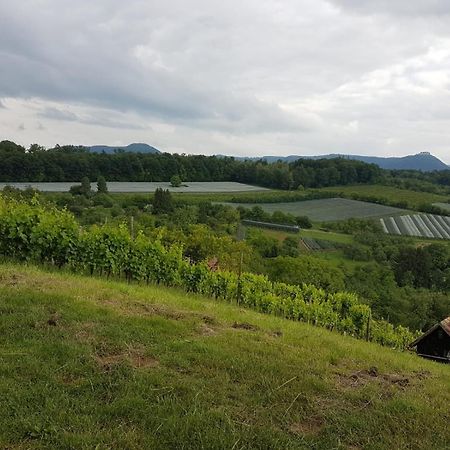 Ferienwohnung Burgblick Im Neuffener Tal Mit Sauna Und Wallbox Frickenhausen  ภายนอก รูปภาพ