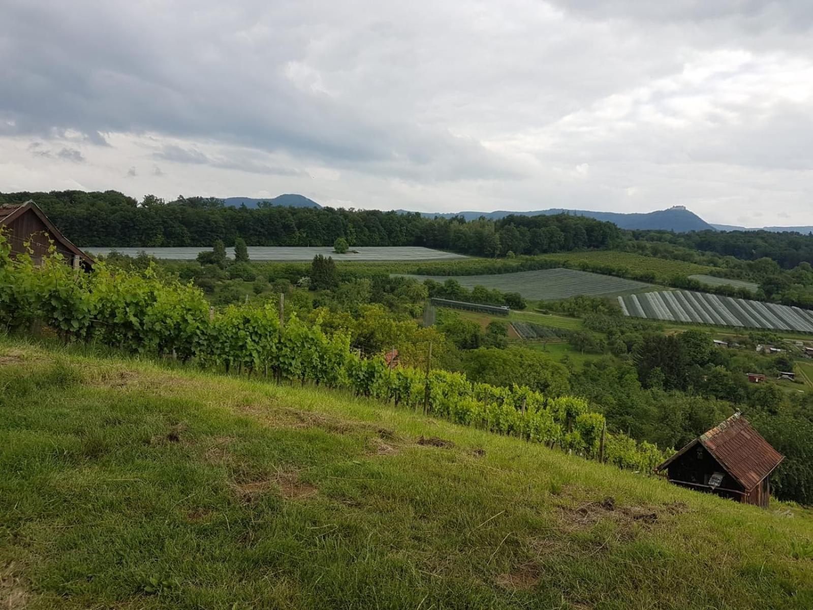 Ferienwohnung Burgblick Im Neuffener Tal Mit Sauna Und Wallbox Frickenhausen  ภายนอก รูปภาพ
