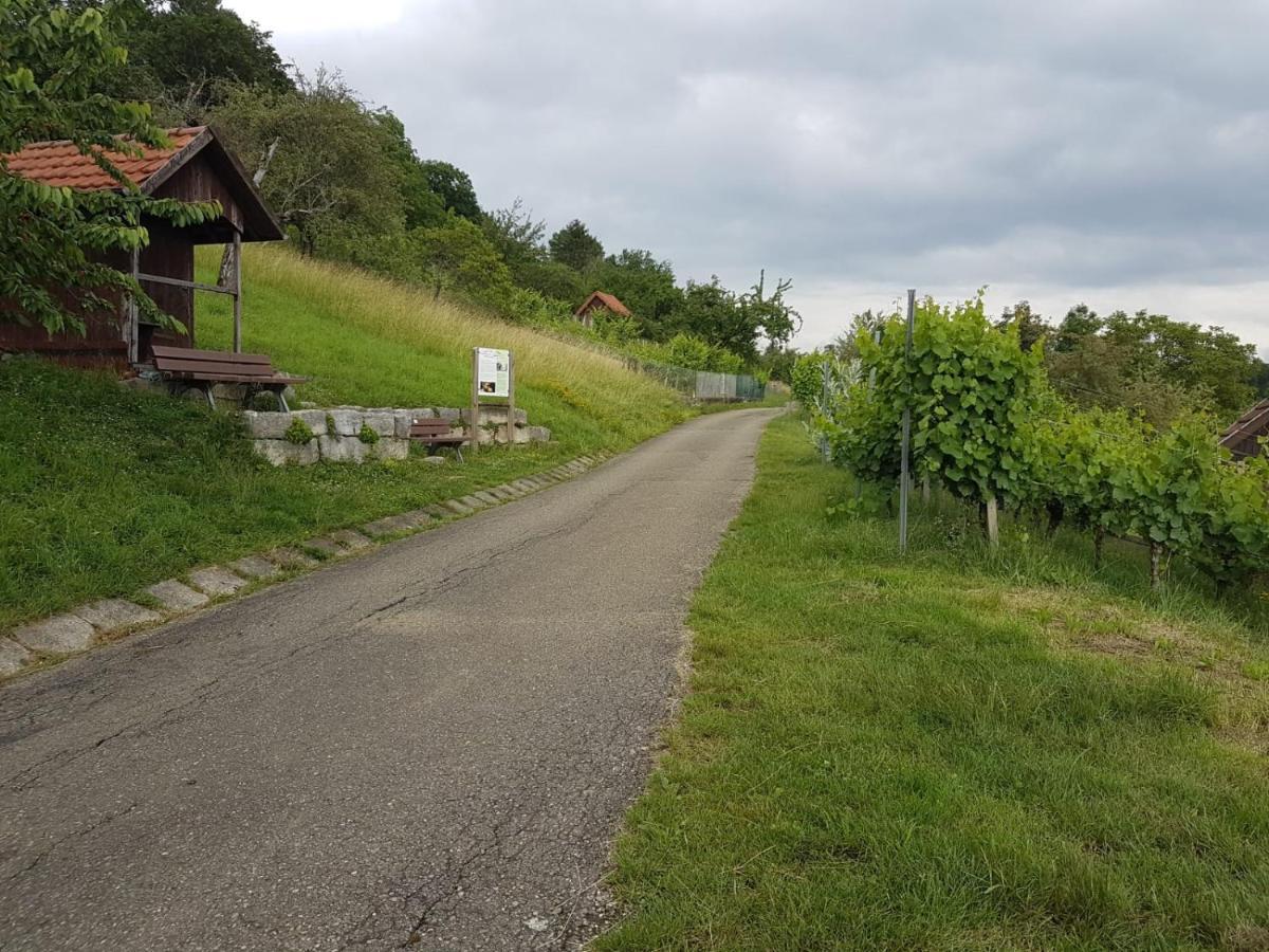 Ferienwohnung Burgblick Im Neuffener Tal Mit Sauna Und Wallbox Frickenhausen  ภายนอก รูปภาพ