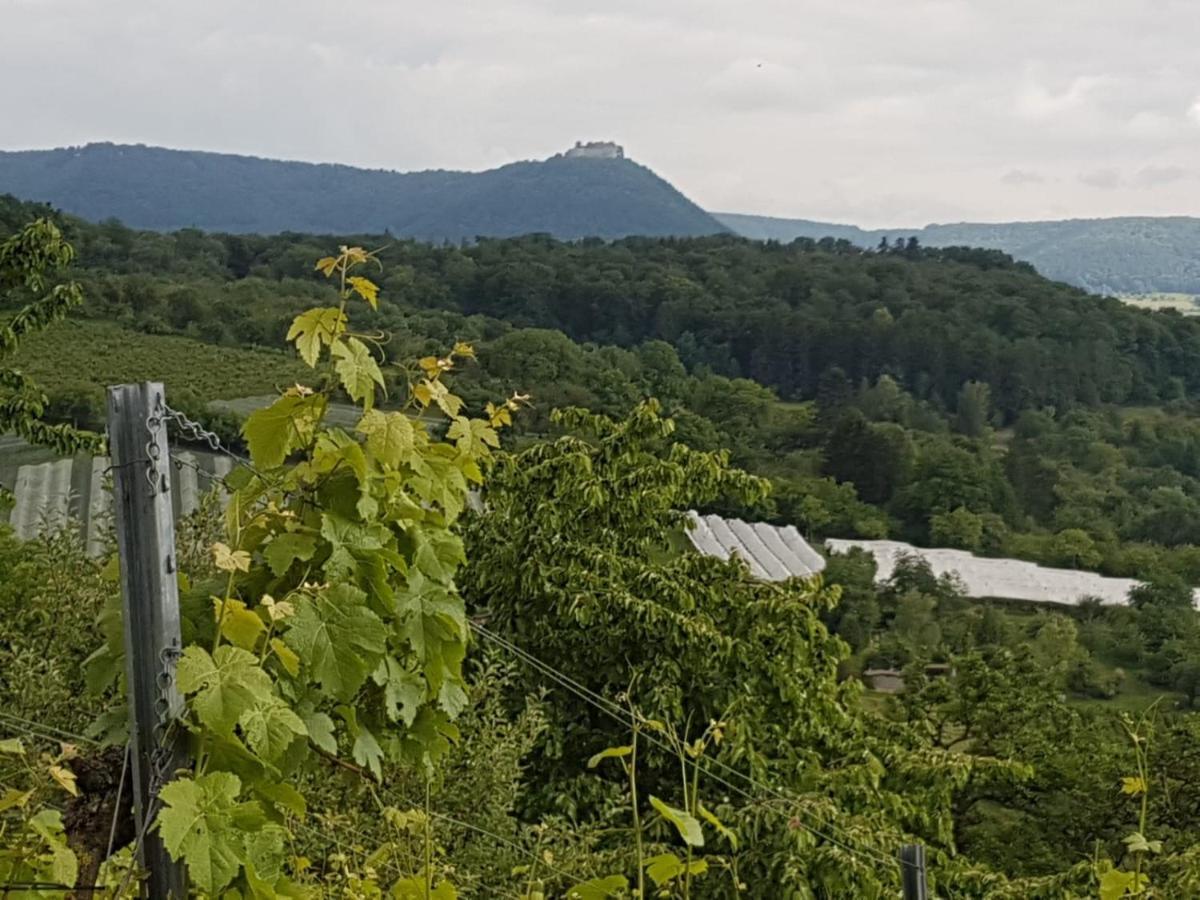 Ferienwohnung Burgblick Im Neuffener Tal Mit Sauna Und Wallbox Frickenhausen  ภายนอก รูปภาพ