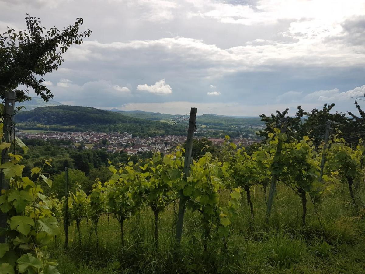 Ferienwohnung Burgblick Im Neuffener Tal Mit Sauna Und Wallbox Frickenhausen  ภายนอก รูปภาพ